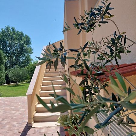 Novouredeni Apartman Marko Mundanije Exteriér fotografie