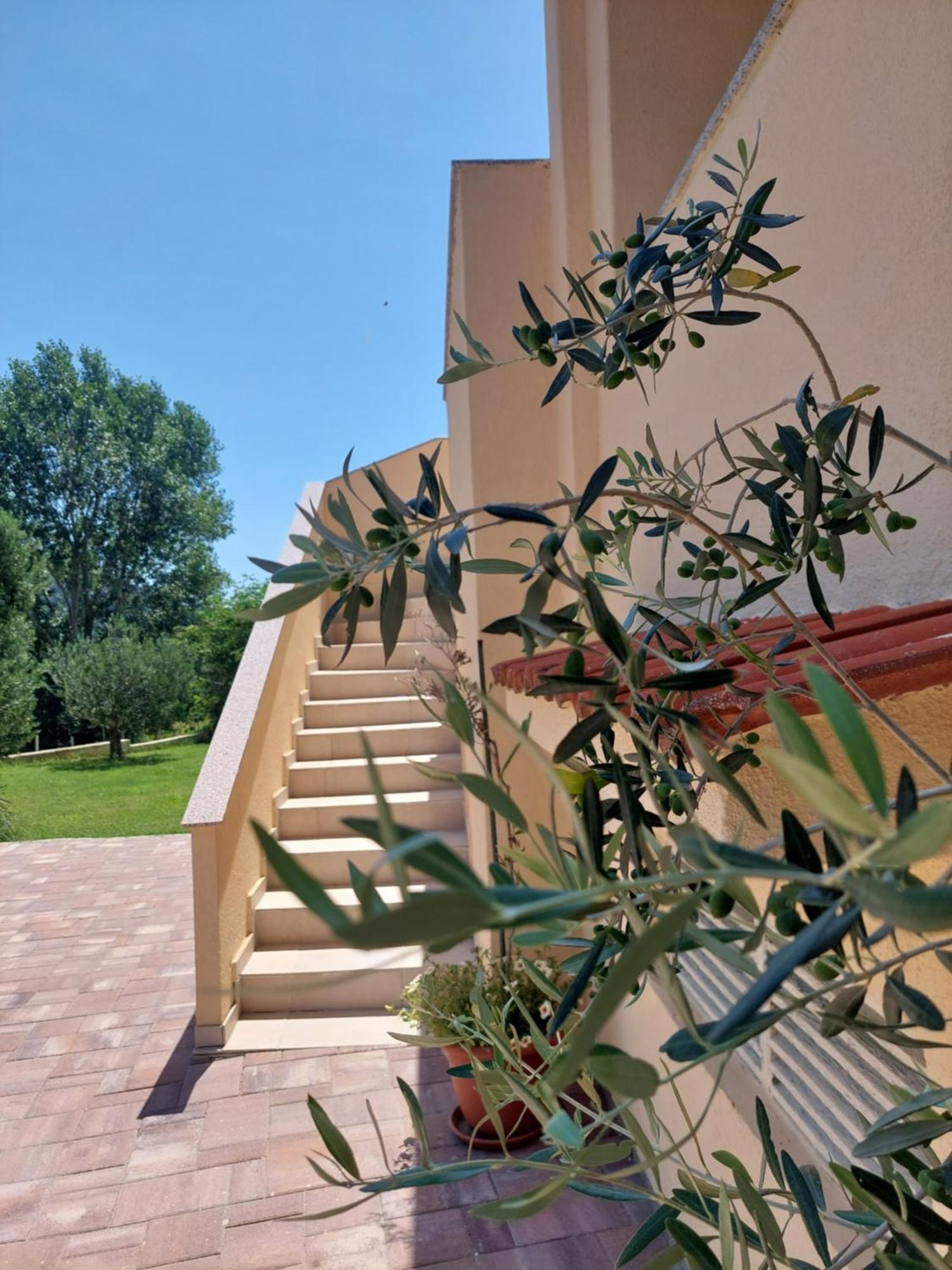 Novouredeni Apartman Marko Mundanije Exteriér fotografie